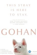 Gohan (Gohan)