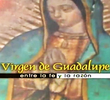 A Virgem de Guadalupe: Entre a Fé e a Razão