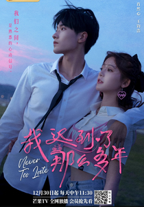 Never Too Late (我迟到了那么多年)