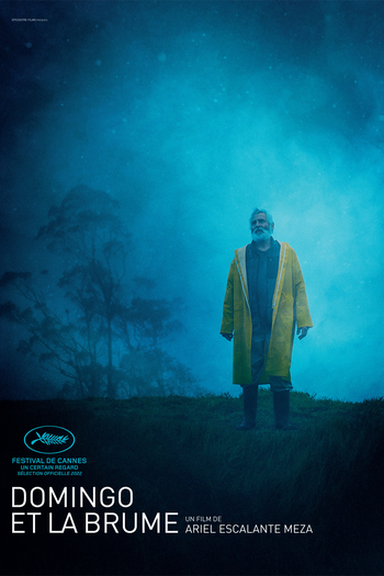  de Filme Domingo e a Neblina (2022)