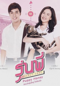 Senior Secret Love: Puppy Honey (Senior Secret Love: Puppy Honey)