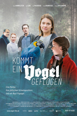 Um Pássaro vem Voando (Kommt ein Vogel geflogen)