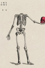 Imagine Dragons: Bones (Imagine Dragons: Bones)