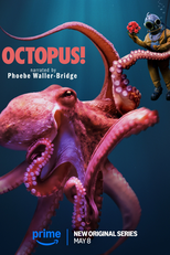 Polvo! (Octopus!)