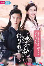 You Are My Peach Blossom Debt (你是我的桃花劫)