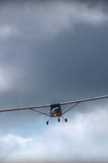 Mico Leão Voador em ação no velho Chico (Mico Leão Voador em ação no velho Chico)