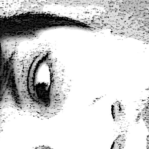 Foto de perfil de Gisele Lobo