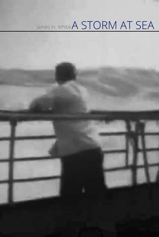 Poster 1 de Curta A Storm at Sea (1900)