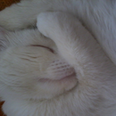 Foto de perfil de Ruth