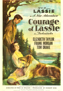 A Coragem de Lassie (Courage of Lassie)