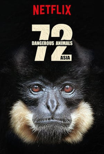 72 Animais Perigosos: Ásia - Poster / Capa / Cartaz - Oficial 1