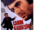 Canim kardesim