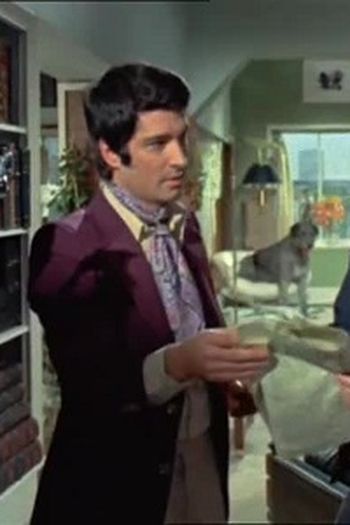 Poster de Episódio The Bodyguards (1973)