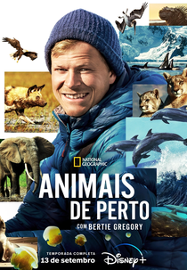 Animais de Perto com Bertie Gregory (1ª Temporada) (Animals Up Close with Bertie Gregory (Season 1))