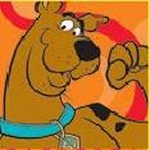 Foto de perfil de Marcos Sanches