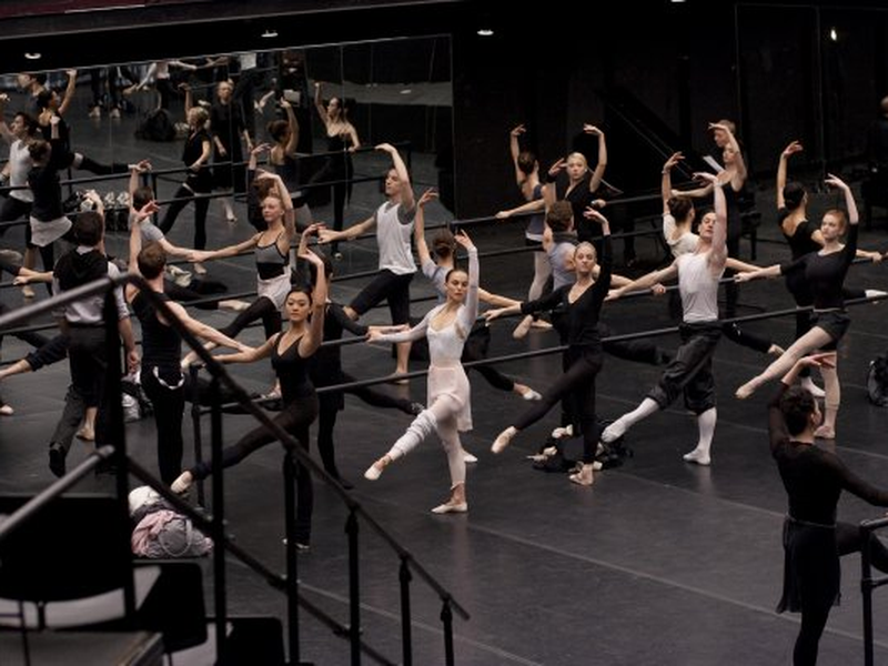 Foto 6 de Cisne Negro