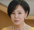 50회