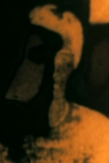 Poster de Curta Variations colorées / Spectres (2003)