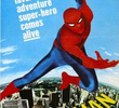 The Amazing Spider-Man (1ª Temporada)