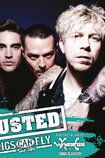 Poster de Filme Busted: Pigs Can Fly Tour (2016)
