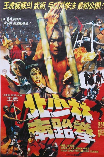 Poster de Filme Shaolin do Sul vs. Shaolin do Norte (1984)