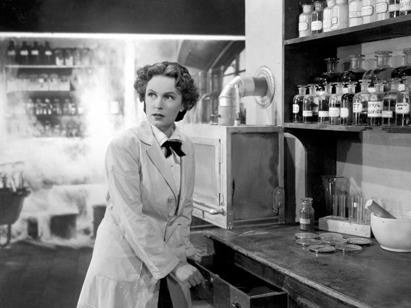 Foto 2 de Gloriosa Vitória