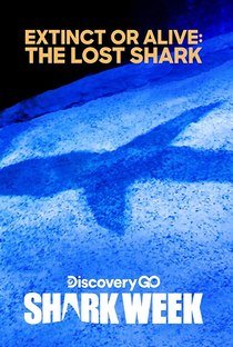 O Tubarão Perdido - Poster / Capa / Cartaz - Oficial 1
