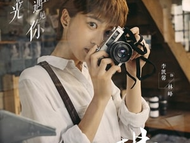 Foto 7 de Blowing in the Wind