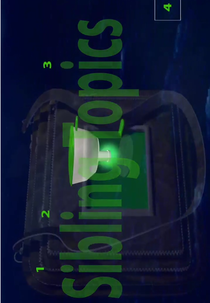 Sibling Topics (Section A) (Sibling Topics (Section A))