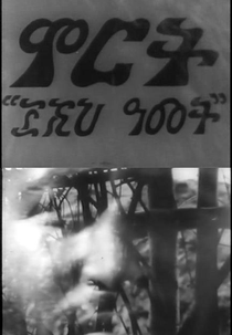 Colheita: 3000 Anos (Mirt Sost Shi Amit)