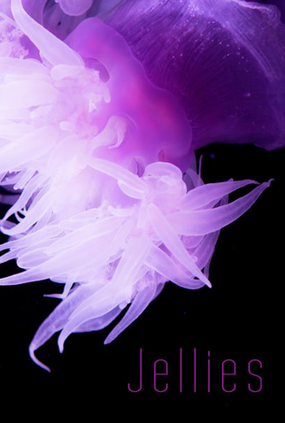 Poster 1 de Filme Jellies (2013)