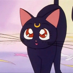 Foto de perfil de ene