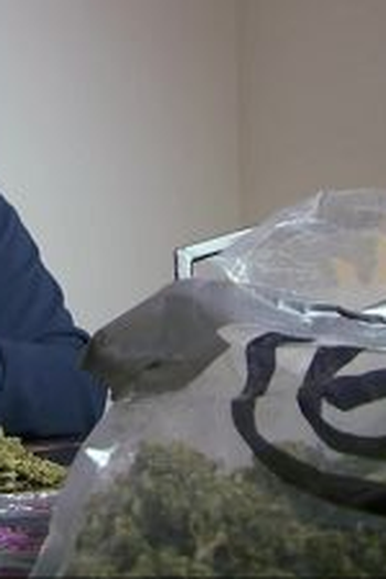 Poster de Episódio Marijuana Mayhem (2014)