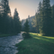 Gab. Fran. Silvestre