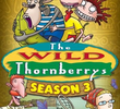 Os Thornberrys (3ª Temporada)