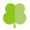 Charm Bold