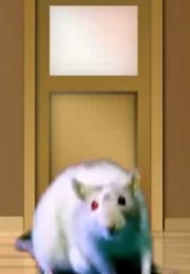 The Rat Agent (The Rat Agent)