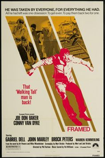 Madrugada de Vingança (Framed)