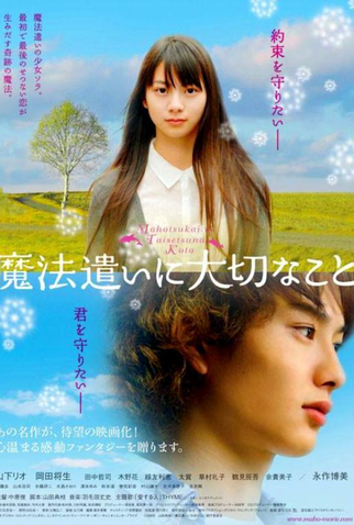 Poster 3 de Filme Someday's Dreamers (2008)