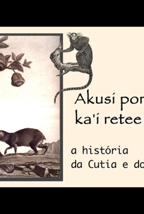 A História da Cutia e do Macaco - Poster / Capa / Cartaz - Oficial 1