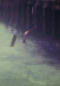 Supermemórias (Supermemórias)