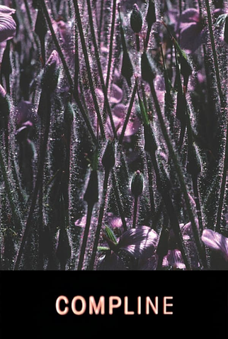 Poster 1 de Curta Compline (2009)