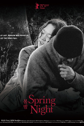 Poster de Filme Spring Night (2024)