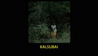 Kalsubai | Yudhajit Basu | India | theCircle Screening Room