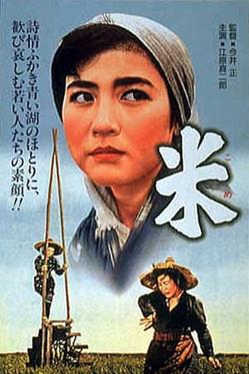 Poster de Filme Os trabalhadores do arroz (1957)