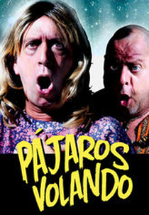 Pájaros volando (Pájaros volando)