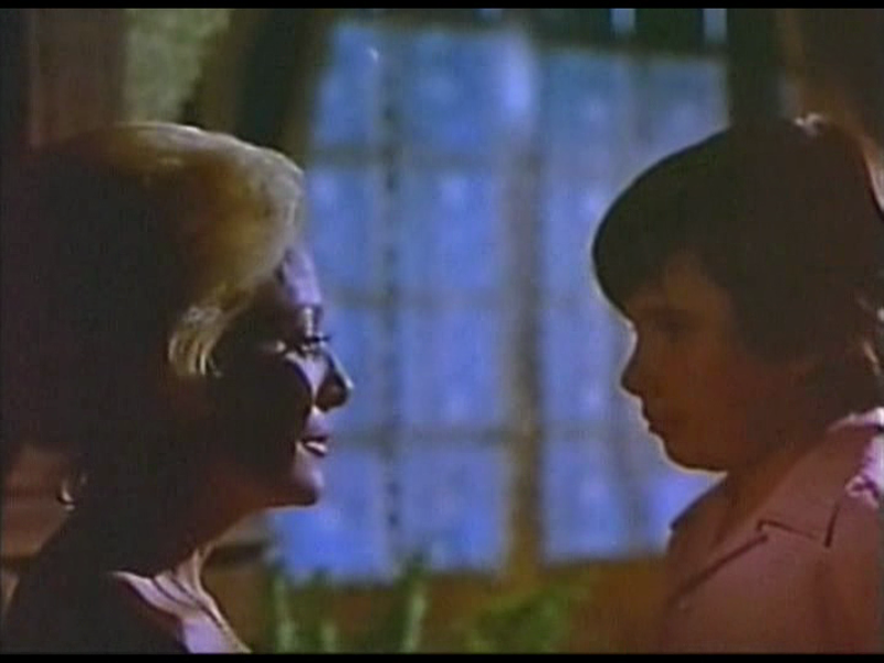 Foto 1 de Las mariposas disecadas 