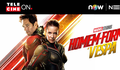 Entenda como Homem-Formiga e a Vespa se conecta com Vingadores 4