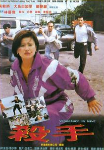 Vengeance Is Mine (殺手)