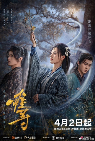 Poster 1 de Série Hard to Find (2024)